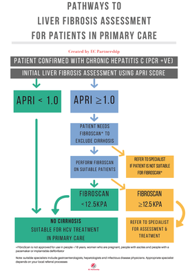 Side liver fibrosis tool